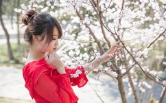 夜夜爽妓女8888888视频